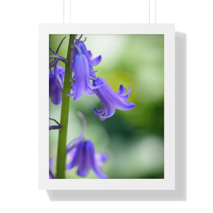 Delicate Bell - Framed Print