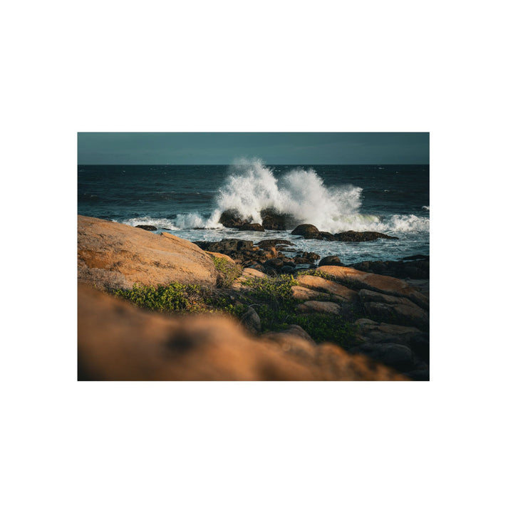 Resilience | Aluminum Wall Art | Elemental Escape Collection