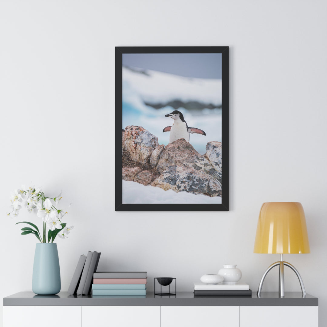 Stretched Penguin - Framed Print
