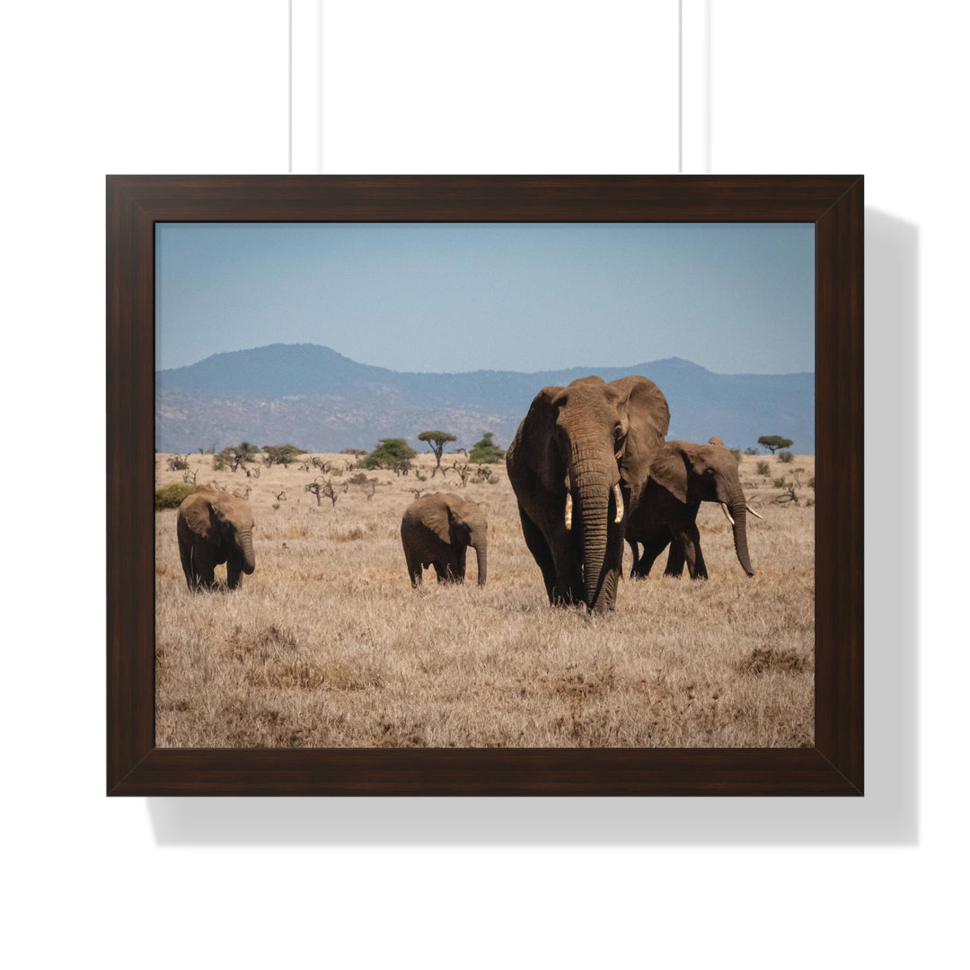 Family March - Framed Print
