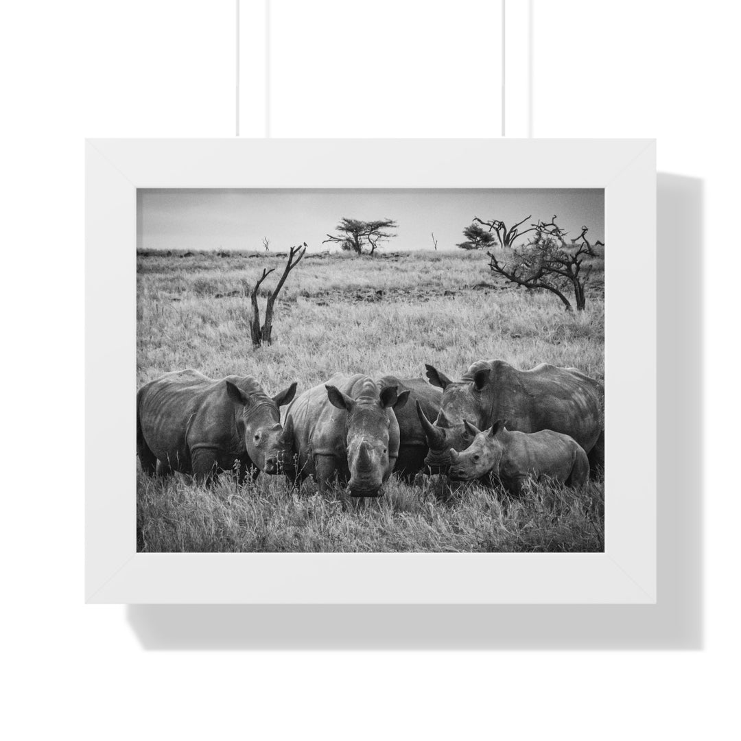 Rhino Family in Black and White - Framed Print