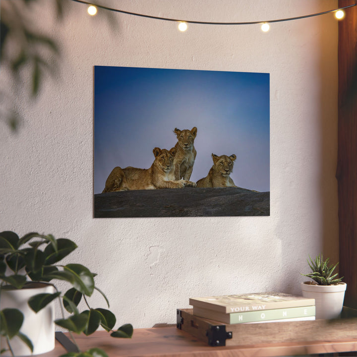 When the Light Fades Blue | Aluminum Wall Art | Elemental Escape Collection