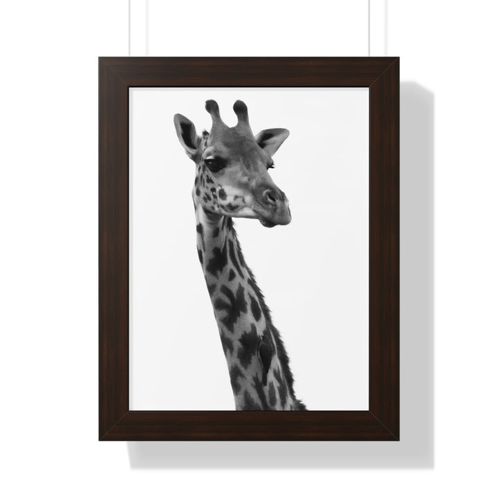 Giraffe Portrait in Black and White - Framed Print