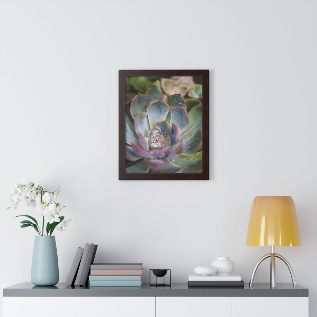 Stunning Succulent - Framed Print
