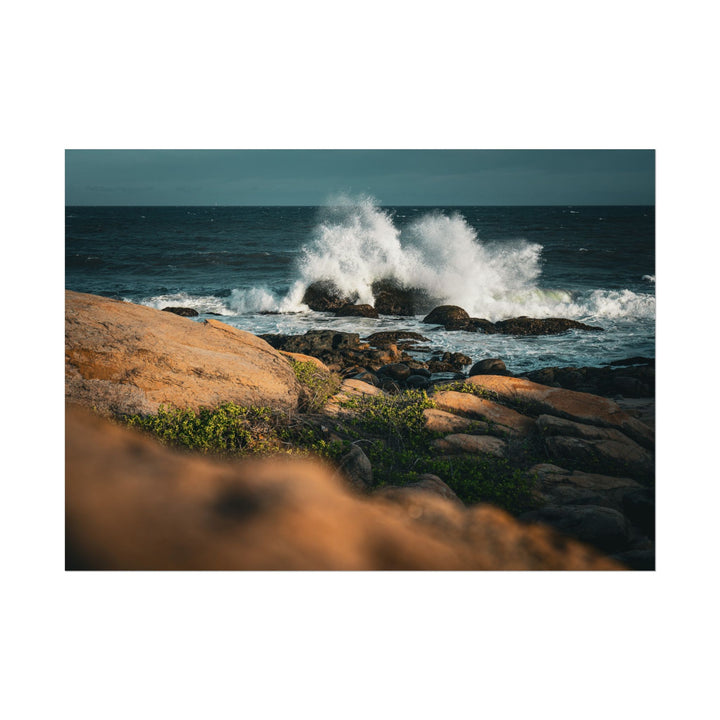 Resilience | Rolled Unframed Print | Elemental Escape Collection