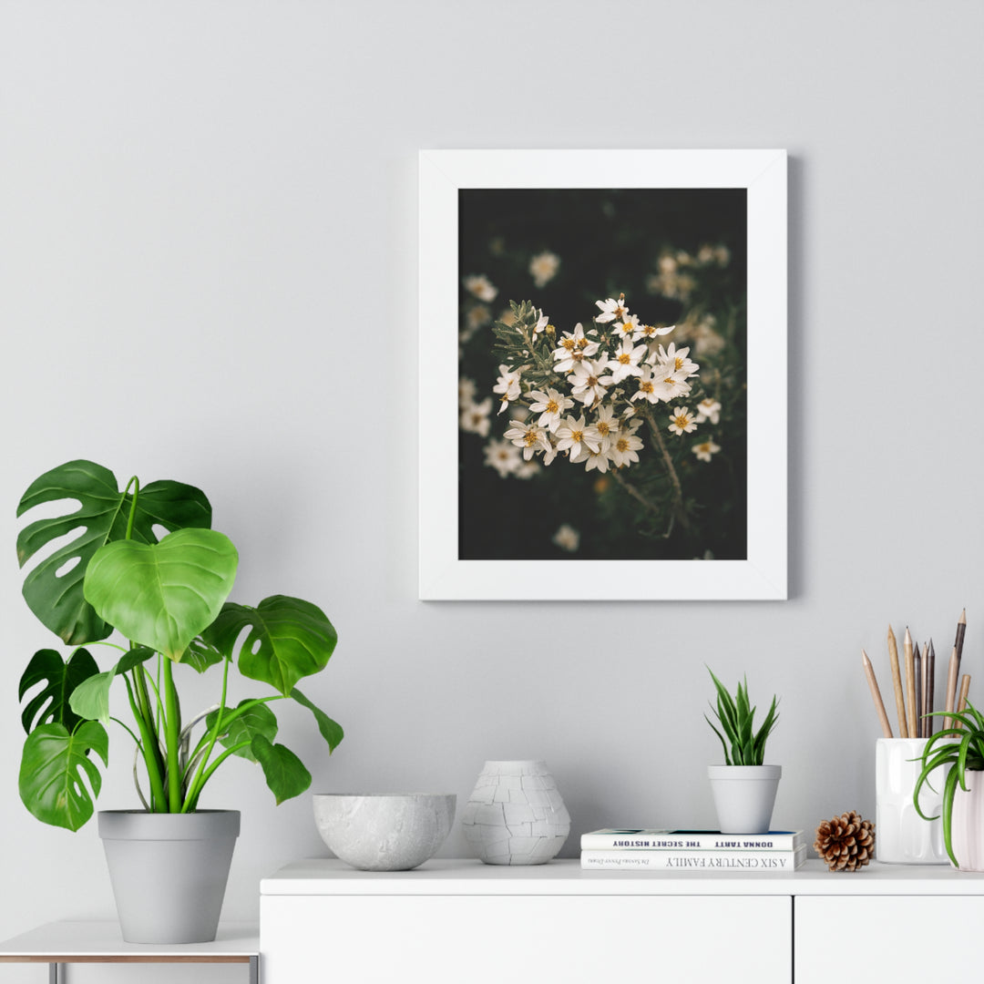 A Touch of White - Framed Print