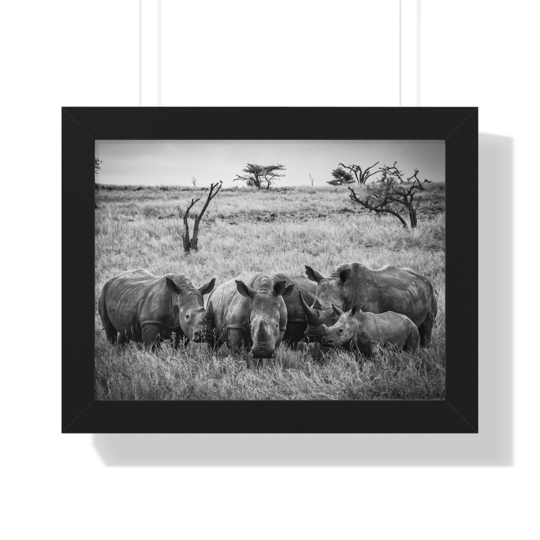 Rhino Family in Black and White - Framed Print