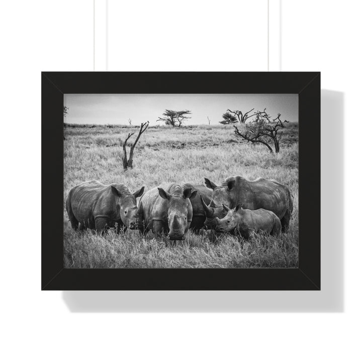 Rhino Family in Black and White - Framed Print