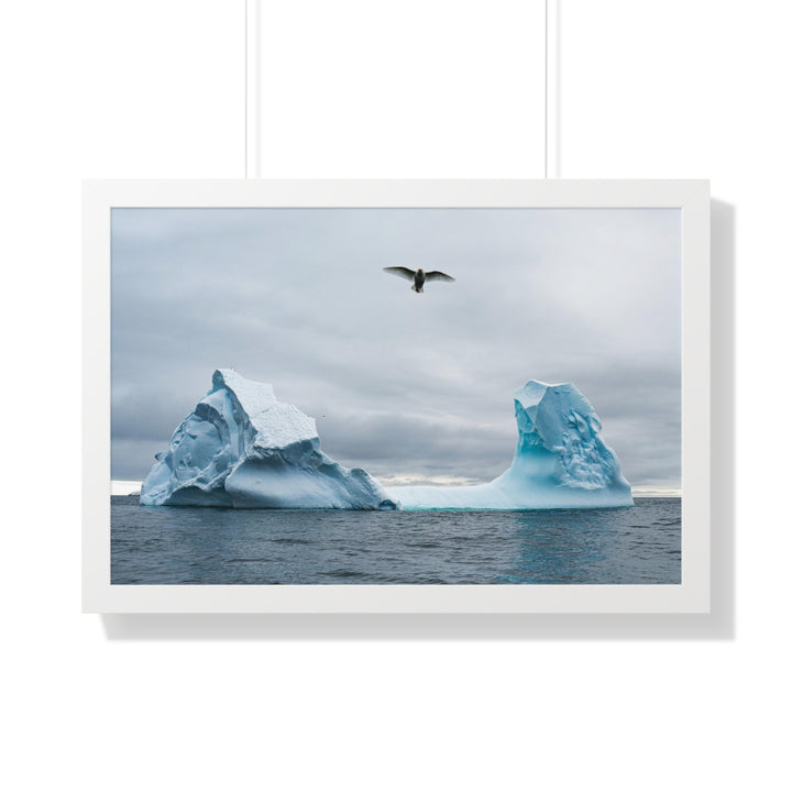 Antarctic Flight - Framed Print