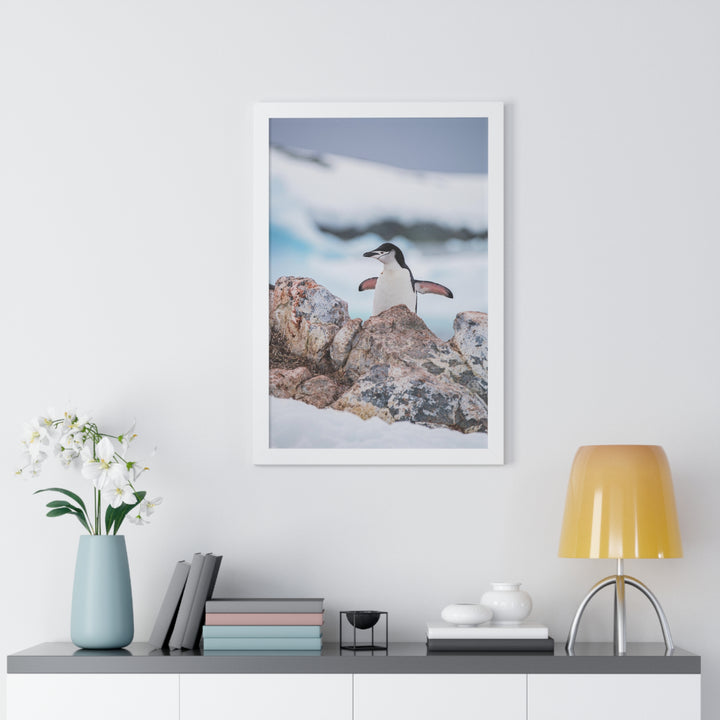 Stretched Penguin - Framed Print