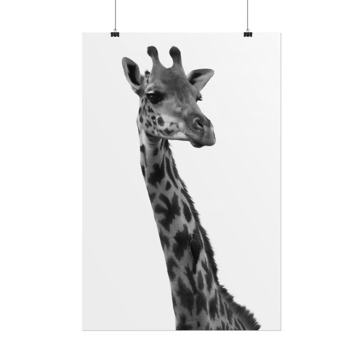 Giraffe Portrait in Black and White | Rolled Unframed Print | Elemental Escape Collection