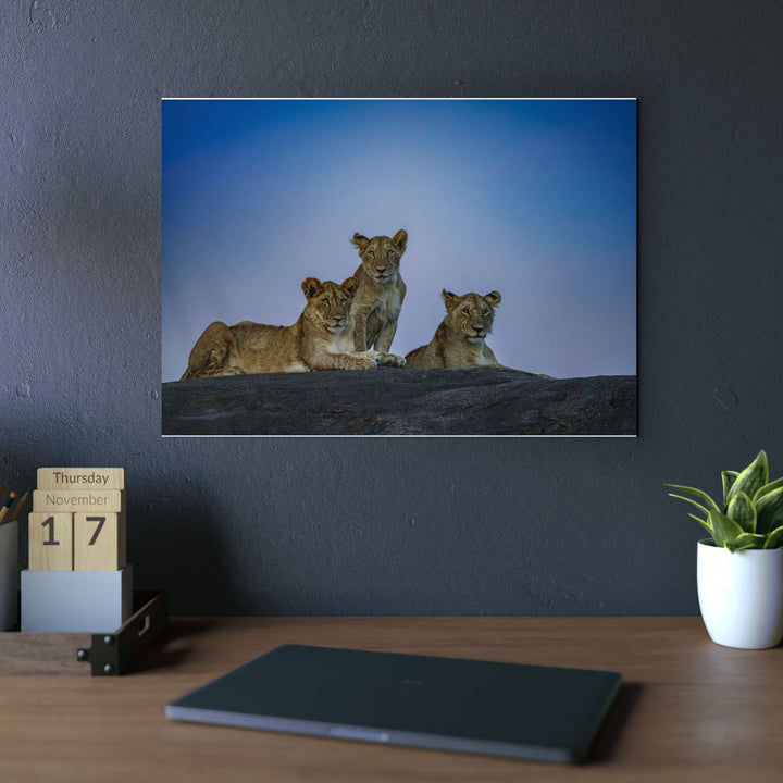 When the Light Fades Blue | Aluminum Wall Art | Elemental Escape Collection