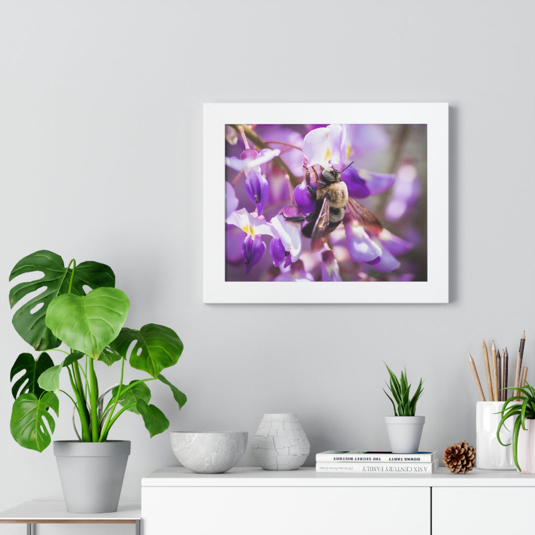 Hungry Visitor - Framed Print