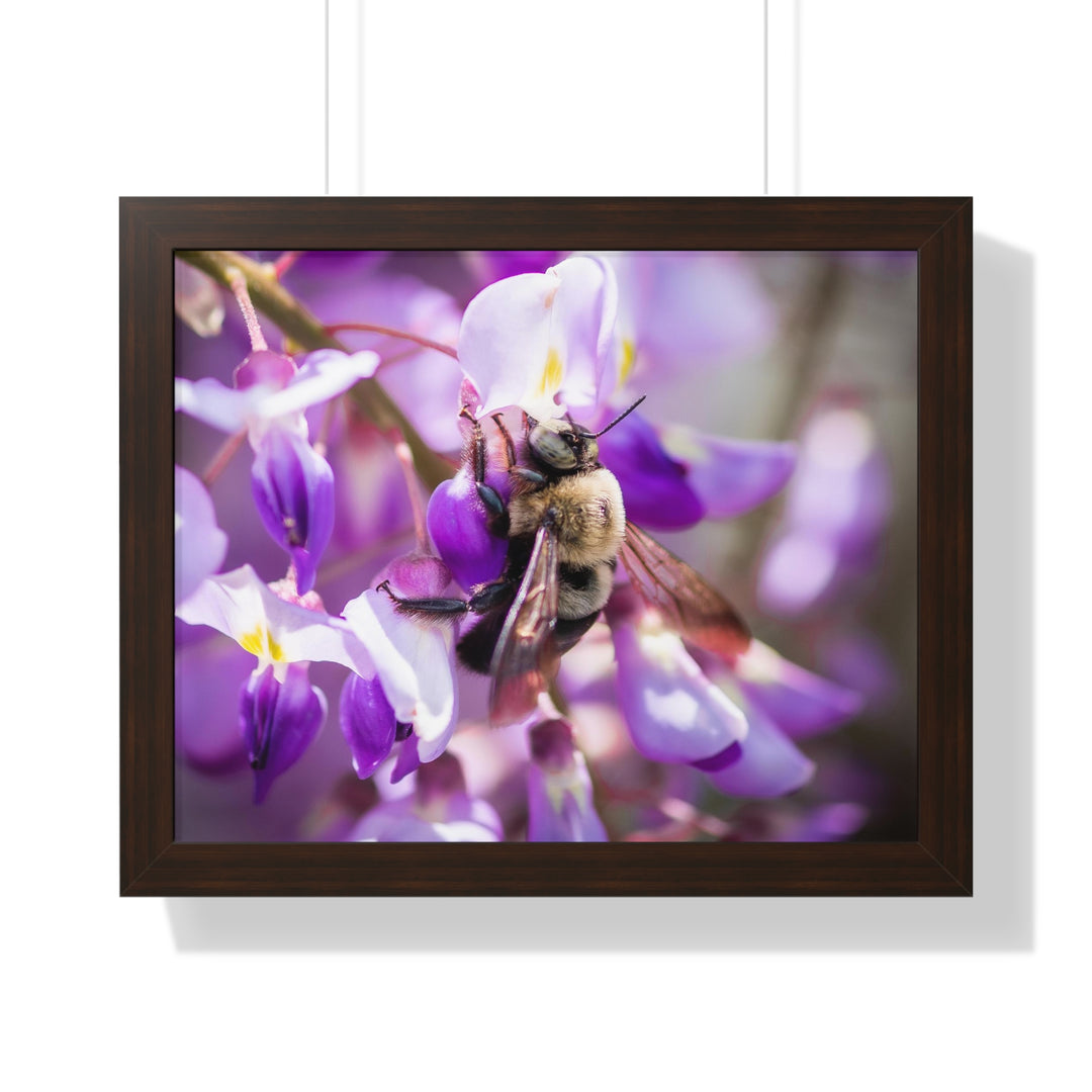 Hungry Visitor - Framed Print