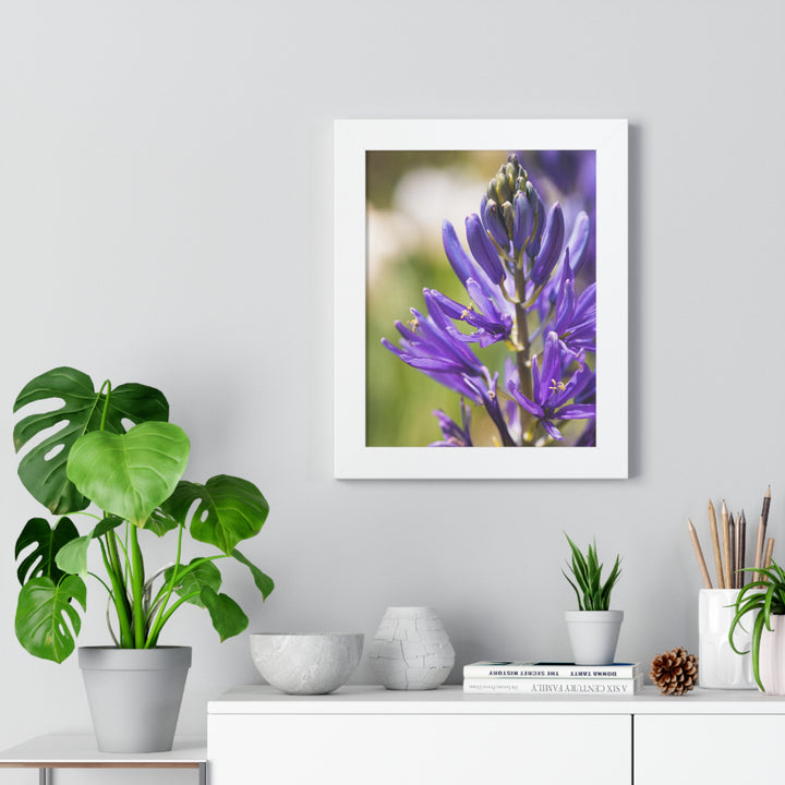 Camas in Bloom - Framed Print