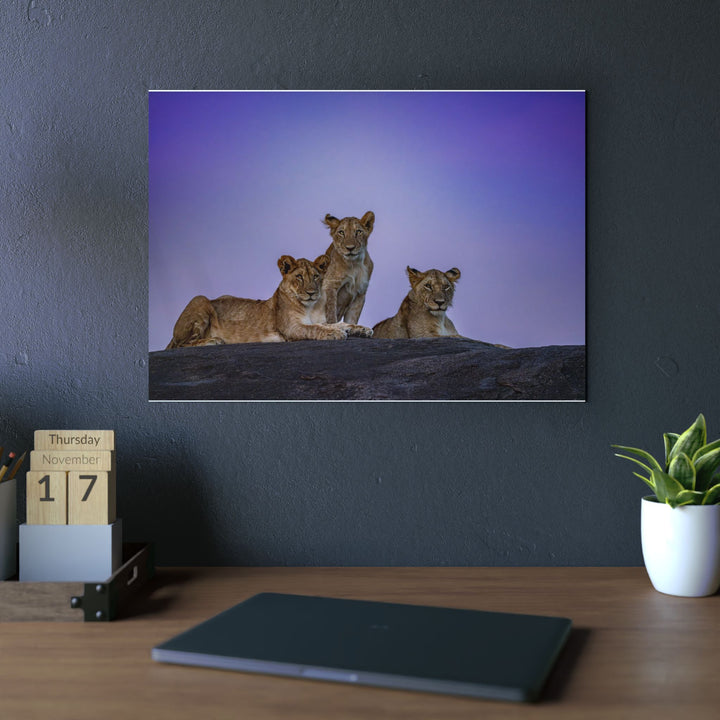 When the Light Fades Purple | Aluminum Wall Art | Elemental Escape Collection