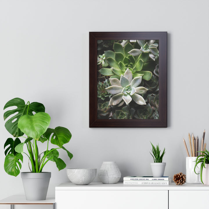 Succulent Array - Framed Print