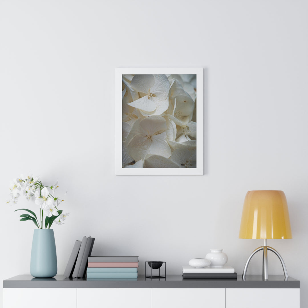 White Hydrangea Detail - Framed Print