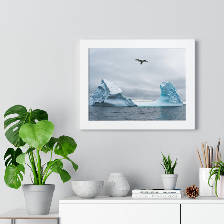 Antarctic Flight - Framed Print