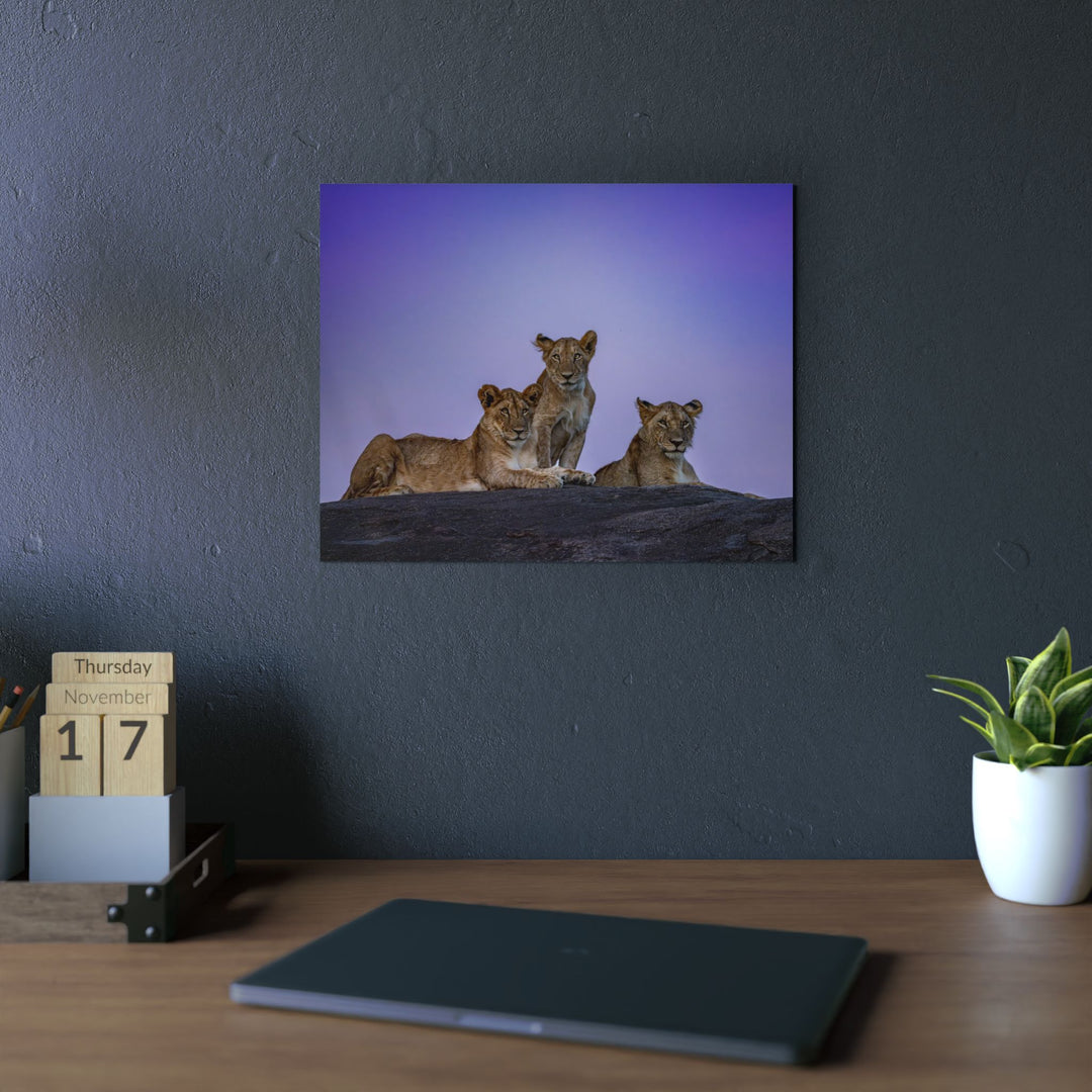 When the Light Fades Purple | Aluminum Wall Art | Elemental Escape Collection