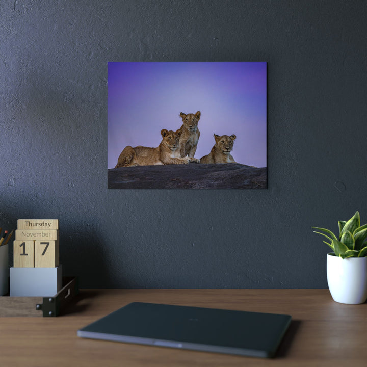 When the Light Fades Purple | Aluminum Wall Art | Elemental Escape Collection