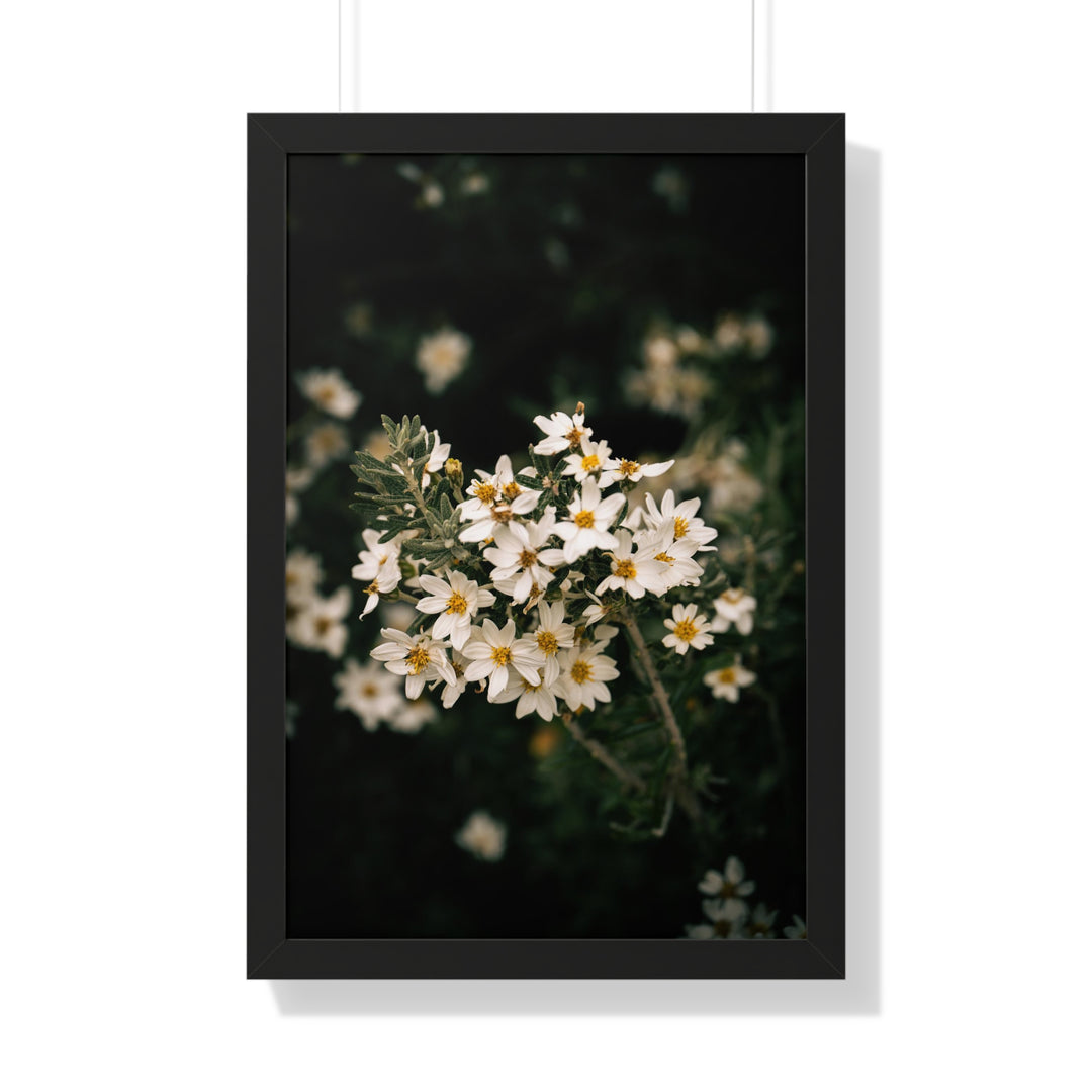A Touch of White - Framed Print