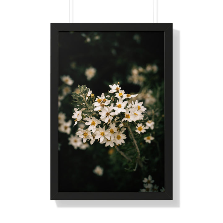 A Touch of White - Framed Print