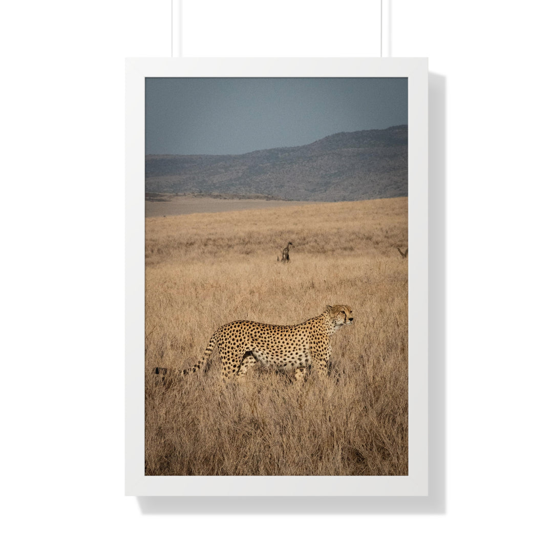 Regal Camouflage  - Framed Print