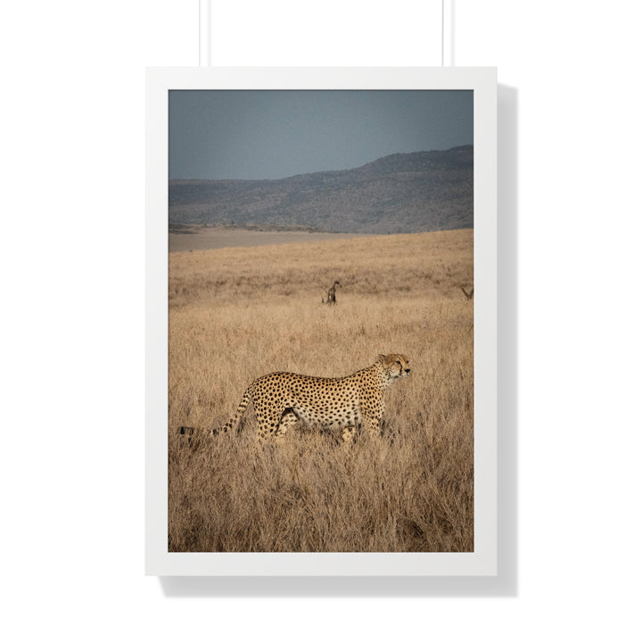Regal Camouflage  - Framed Print