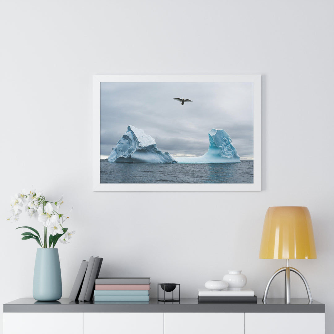 Antarctic Flight - Framed Print