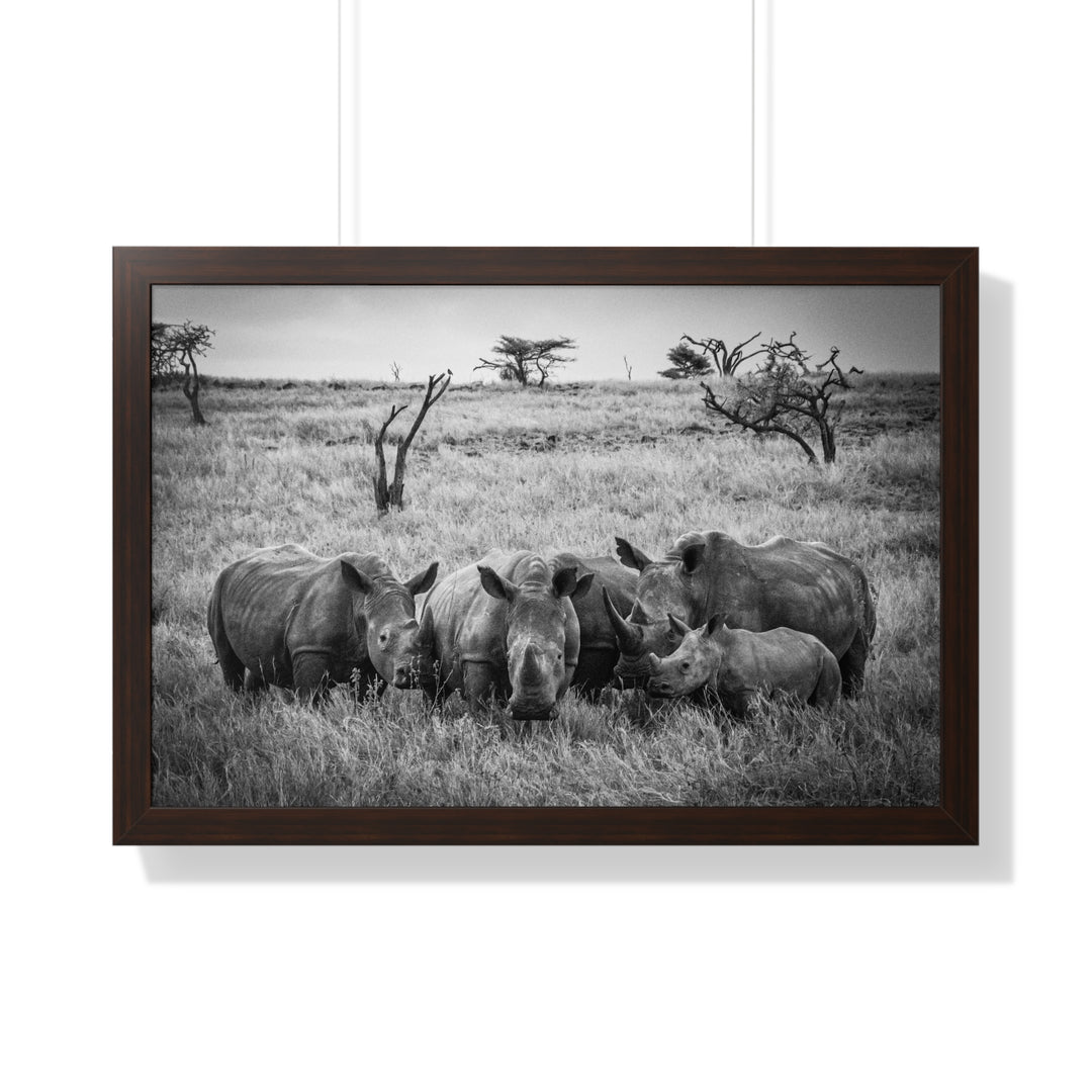 Rhino Family in Black and White - Framed Print