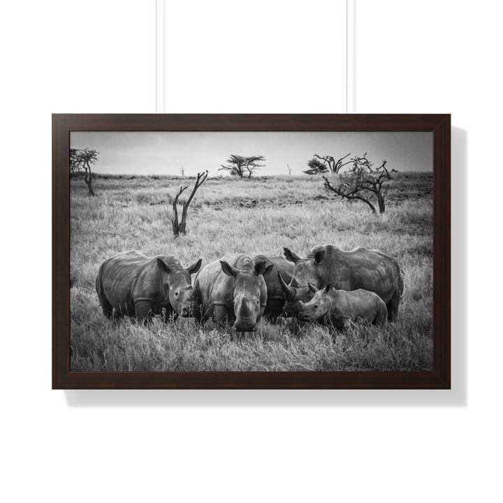Rhino Family in Black and White - Framed Print