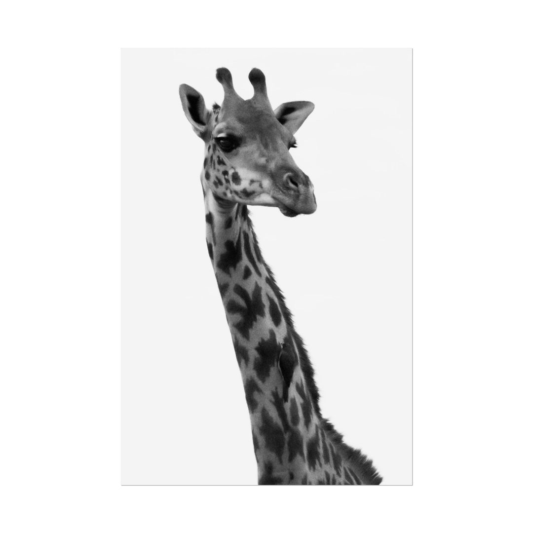 Giraffe Portrait in Black and White | Rolled Unframed Print | Elemental Escape Collection