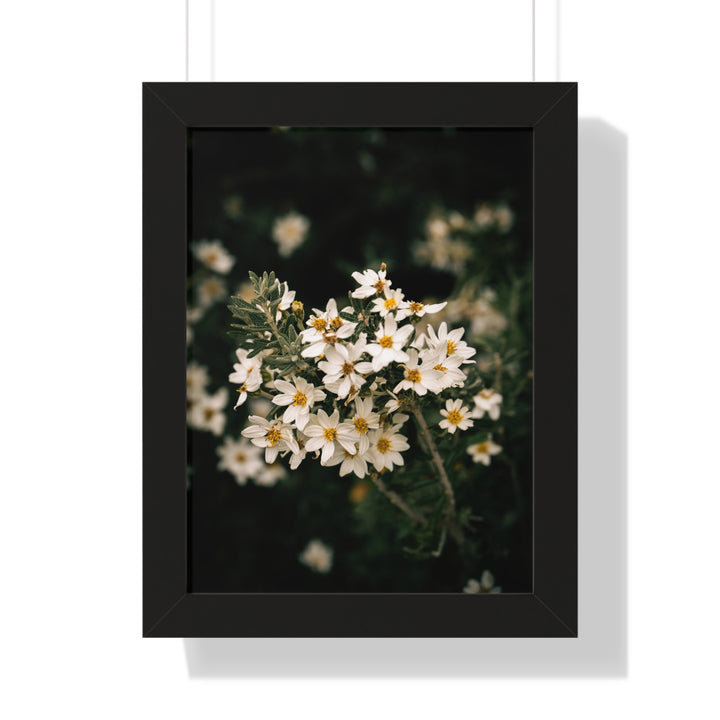 A Touch of White - Framed Print