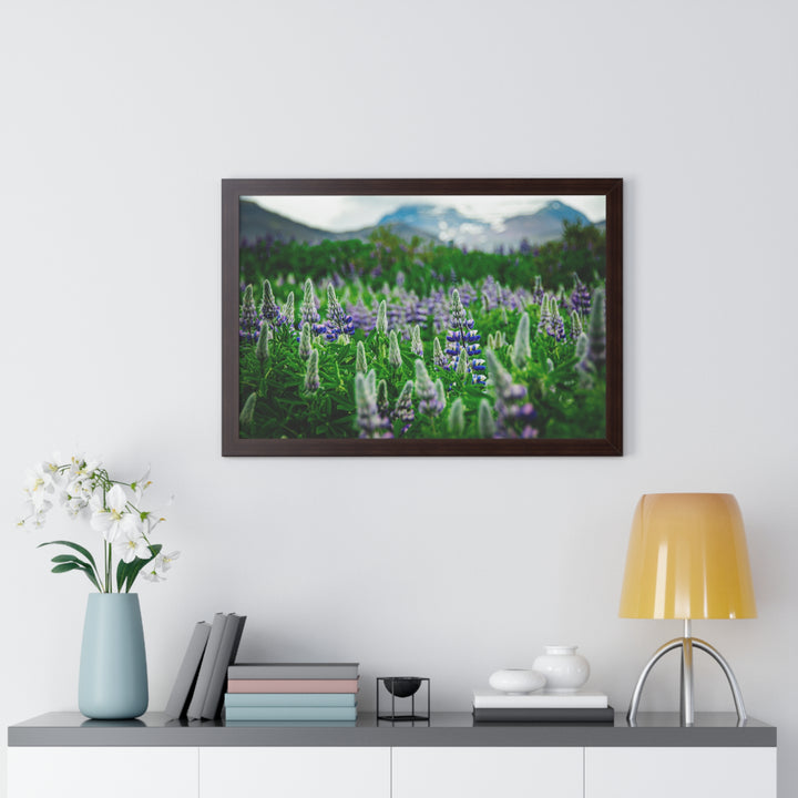 Glowing Lupin with Mountains - Framed Print