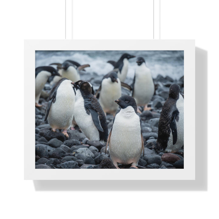 Drying Out - Framed Print