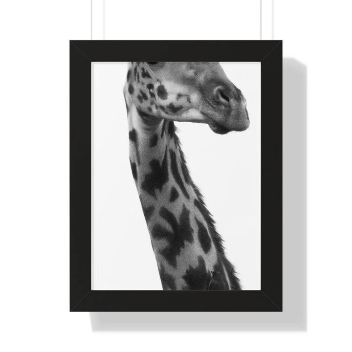 Giraffe Portrait in Black and White - Framed Print