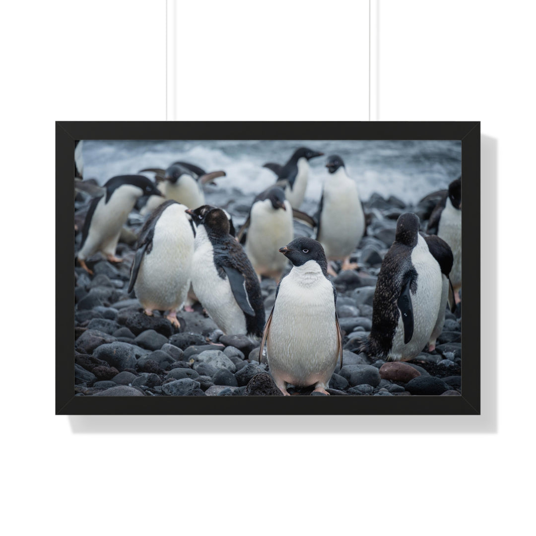 Drying Out - Framed Print