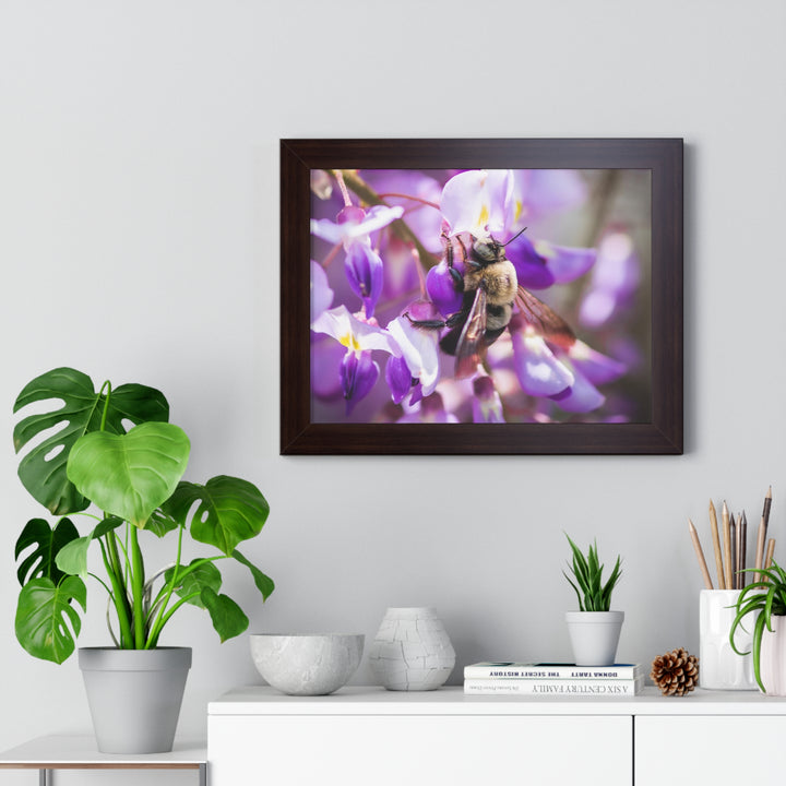 Hungry Visitor - Framed Print