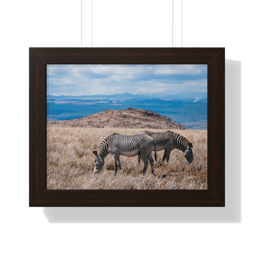 Zebra-Striped Expanse - Framed Print