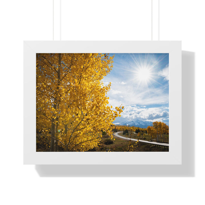 Golden Sunshine - Framed Print