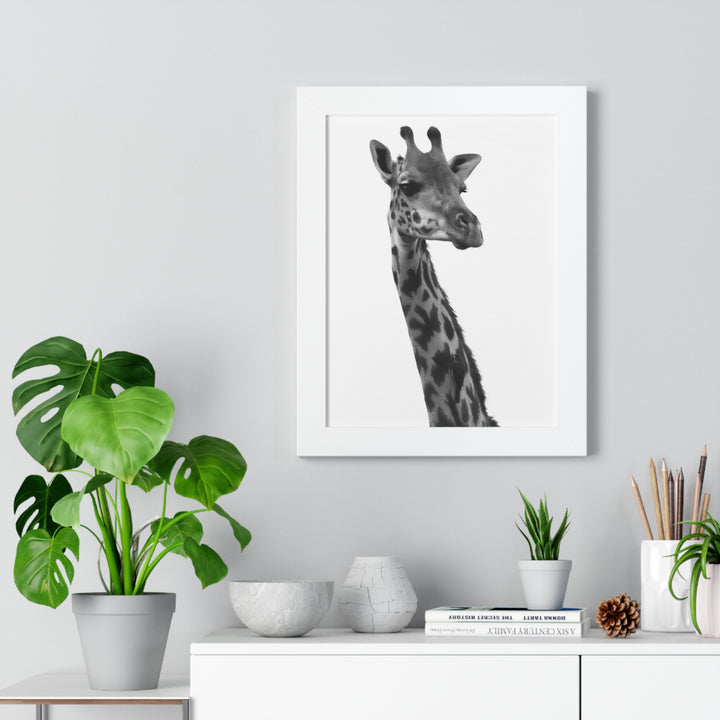 Giraffe Portrait in Black and White - Framed Print