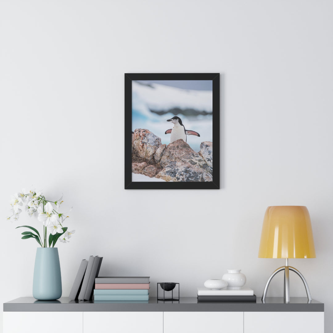 Stretched Penguin - Framed Print