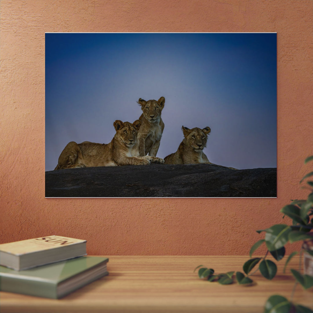 When the Light Fades Blue | Aluminum Wall Art | Elemental Escape Collection