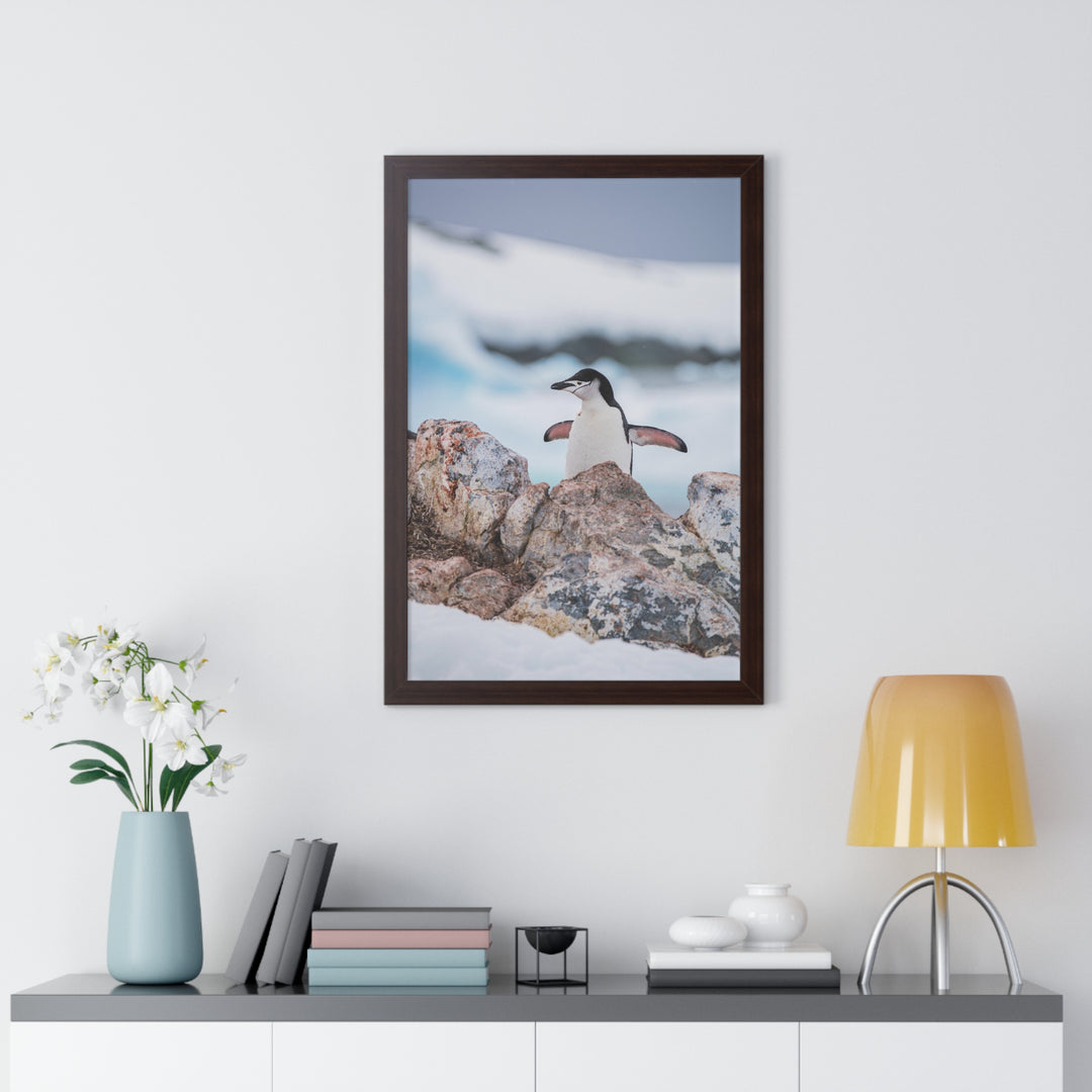 Stretched Penguin - Framed Print