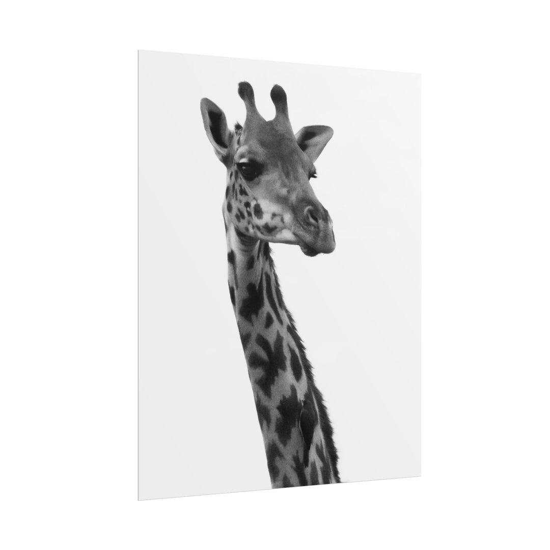 Giraffe Portrait in Black and White | Rolled Unframed Print | Elemental Escape Collection