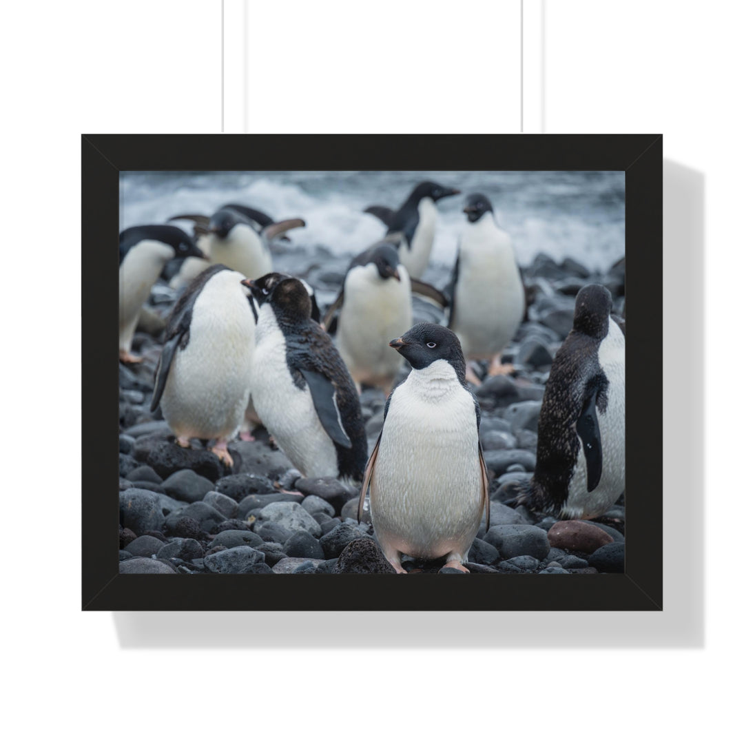 Drying Out - Framed Print