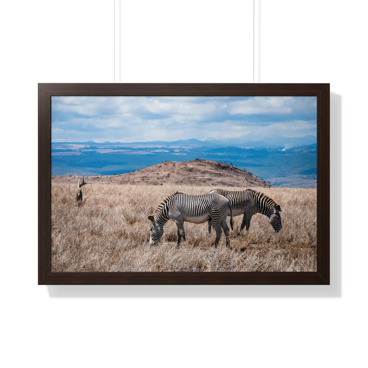 Zebra-Striped Expanse - Framed Print