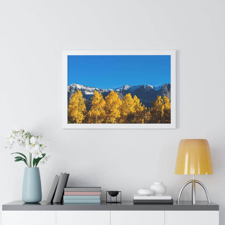 Golden Glow - Framed Print