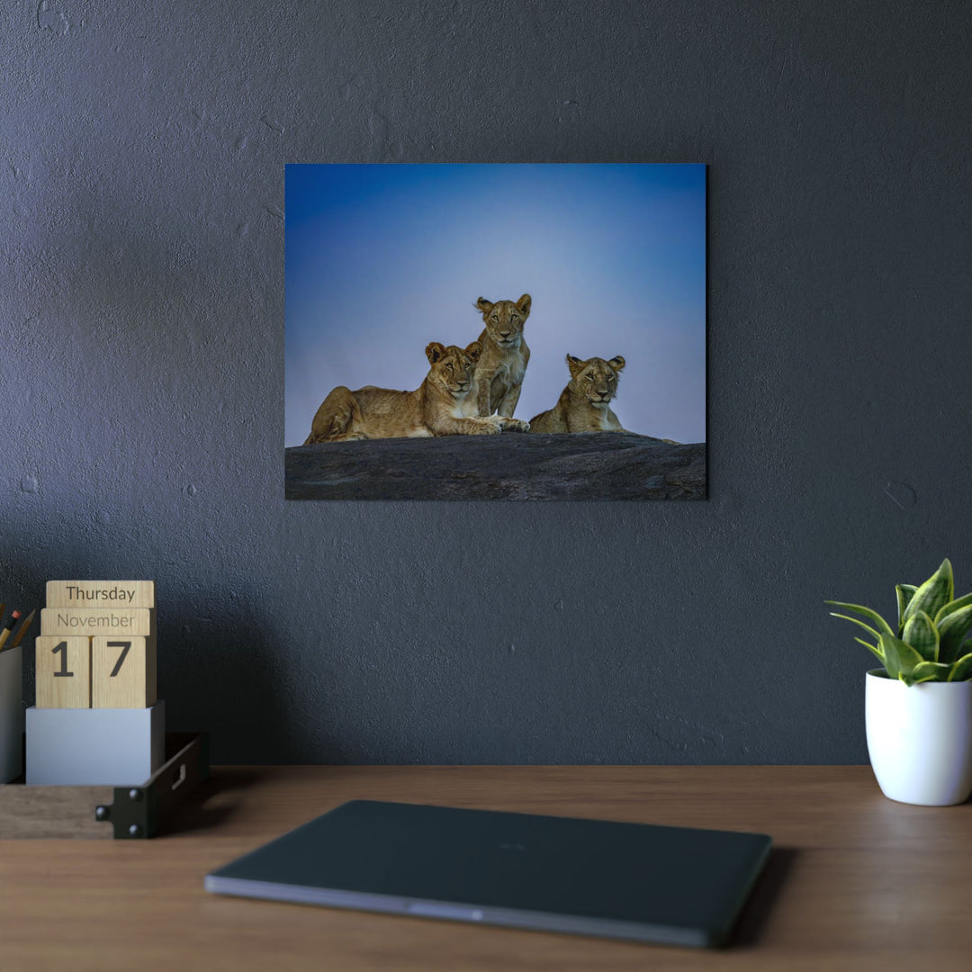 When the Light Fades Blue | Aluminum Wall Art | Elemental Escape Collection